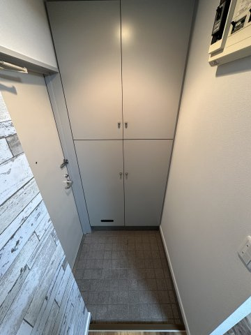 川崎市多摩区中野島３丁目の賃貸マンションの玄関