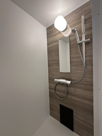 川崎市多摩区中野島３丁目の賃貸マンションのシャワールーム