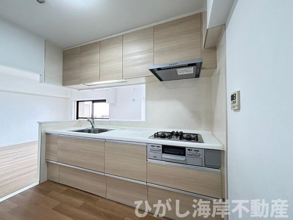 ダイアパレスエクシード茅ヶ崎のキッチン|システムキッチン