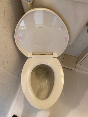 【トイレ】 | ダイアパレスステーションプラザお花茶屋