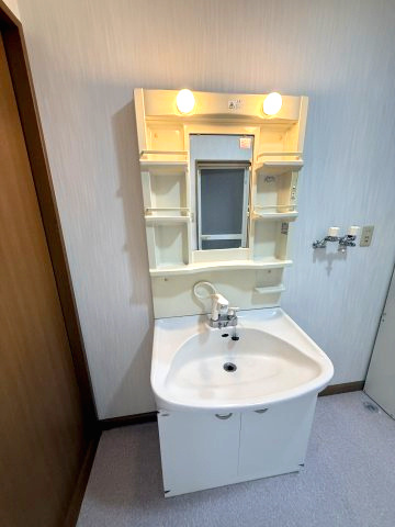 ドミールミサキの独立洗面台