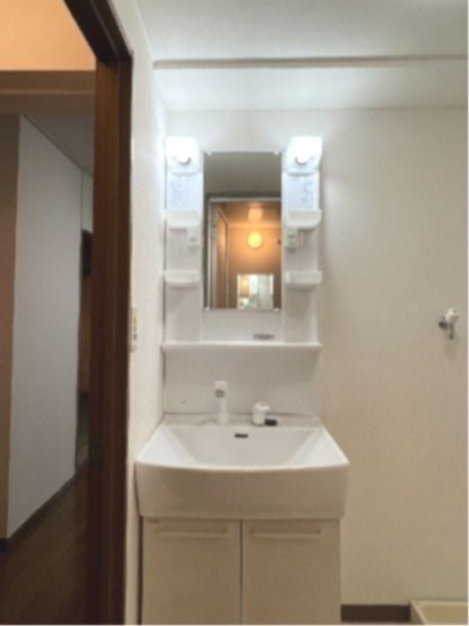 ロイヤルプレステージの洗面所