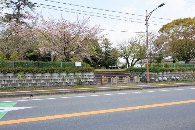 サンコート　小郡市小板井の周辺|東町公園まで400m 