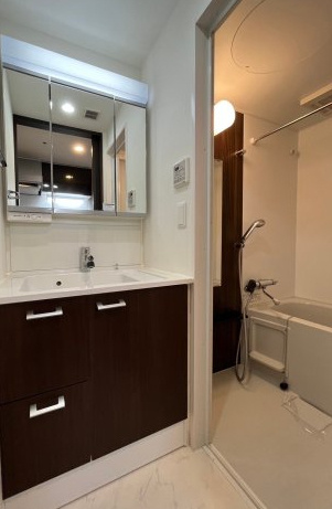 エステムコート名古屋新栄Ⅱアリーナ　名古屋市賃貸　仲介手数料無料の洗面所|洗面