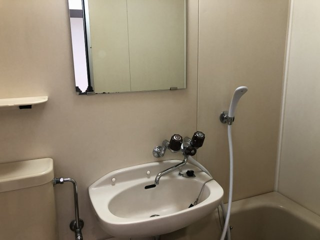 コーポセキの洗面所