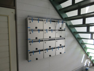 【その他共用部分】 | コーポホワイト名草