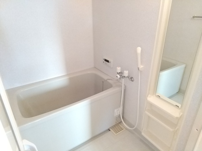 エクセレンスフジエの浴室