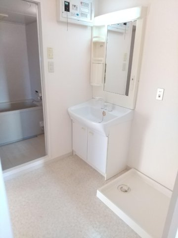 エクセレンスフジエの洗面所