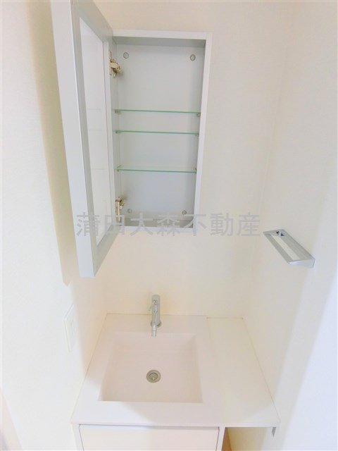 レジデンス平和島の洗面所