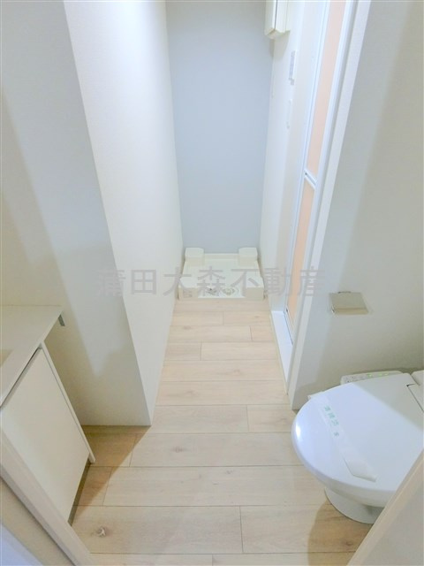 レジデンス平和島の洗面所