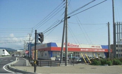 【周辺】 | ハレアカラ | ウェルネス白枝店まで1000m
