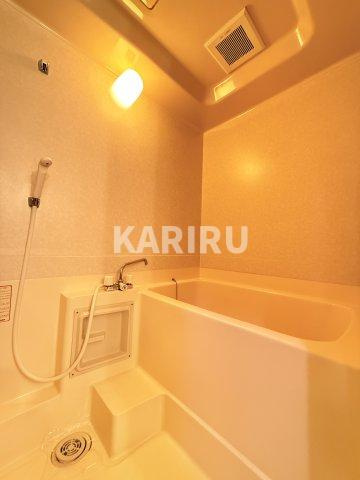 コーポ井上の浴室