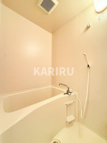 シャンテ２１の浴室