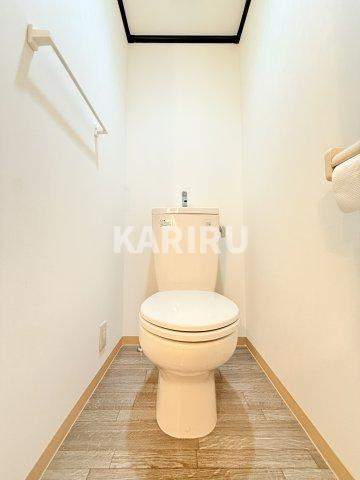 シャンテ２１のトイレ