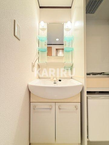 シャンテ２１の洗面所