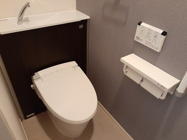 パール・トゥ・シャイン恵梨のトイレ