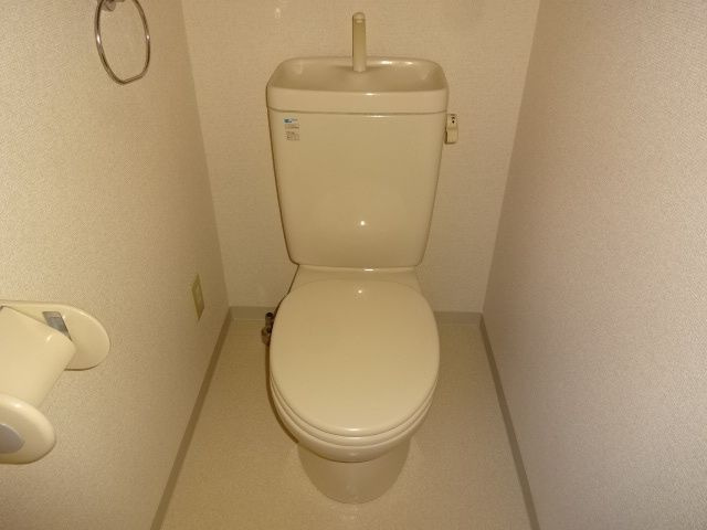 Peaceful Court 菊川(ピースフルコート)のトイレ