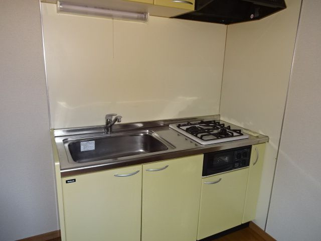 Peaceful Court 菊川(ピースフルコート)のキッチン