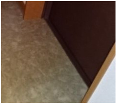 Peaceful Court 菊川(ピースフルコート)の玄関