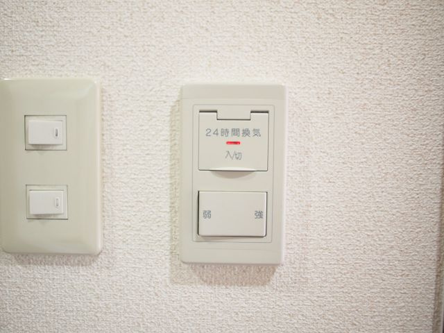 ラフィーネ北島のその他