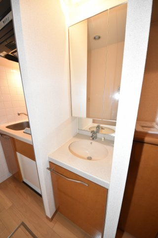 エステムコート難波ミューステージの洗面所