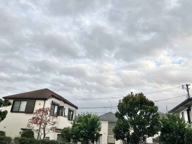 津田沼第１ファミリーマンションの展望