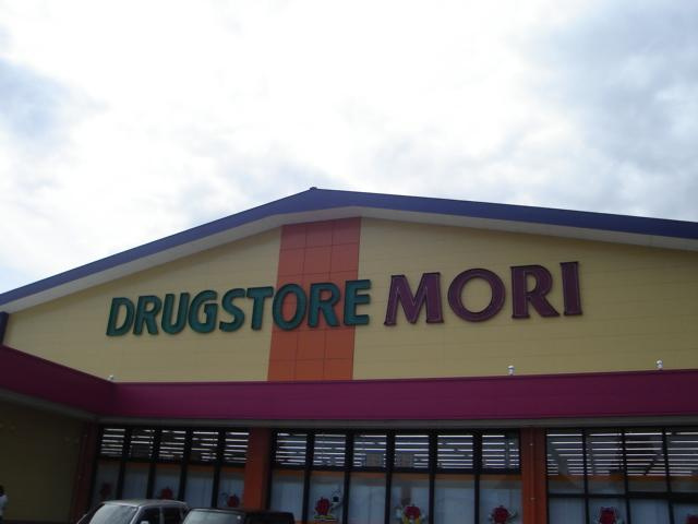 グランバージュ早水の周辺|ドラッグストアモリ都城早水店まで190ｍ