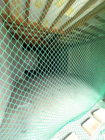 志木市柏町１丁目戸建の駐車場