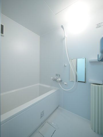 ハイデンス岡山の浴室