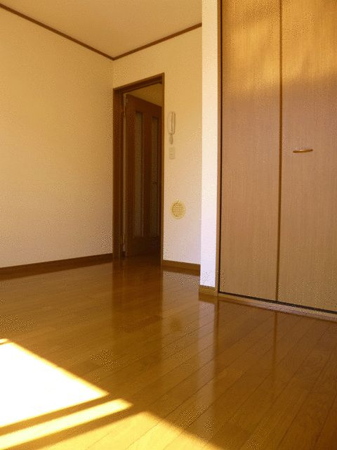 プロミネンスのその他