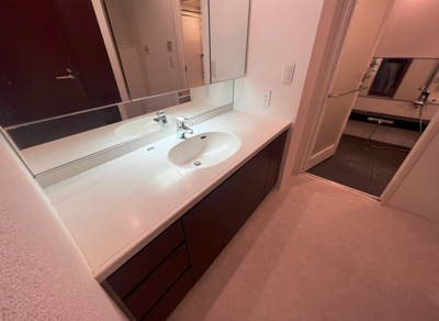 【洗面所】 | ブリリアタワー東京