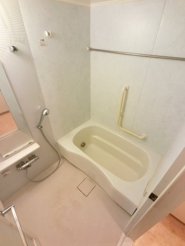 エコロジー千葉みなとレジデンスの浴室