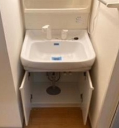 ビュー久米川パルの独立洗面台