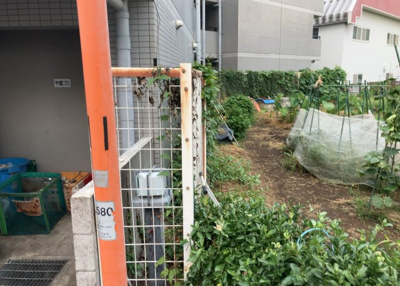 【中庭】 | メゾン・ド・オンブラージュ | 中庭（パティオ）とは、一つの建築物の内部に設けられた、壁などで囲われている庭のことを指します。コの字型、ロの字型が主流ですが、L字型の中庭もあります。最近では、インテリア性の高さからも人気があります。