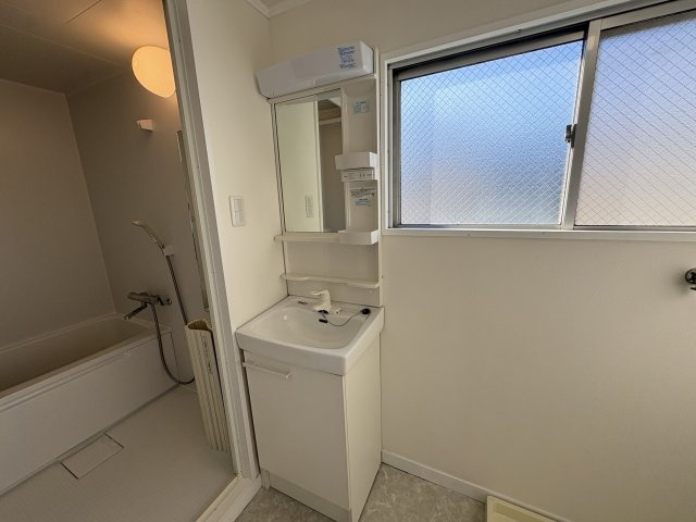 エクシード星が丘の独立洗面台