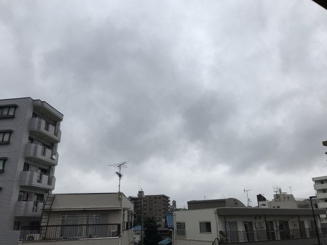 コスモポリタンの展望