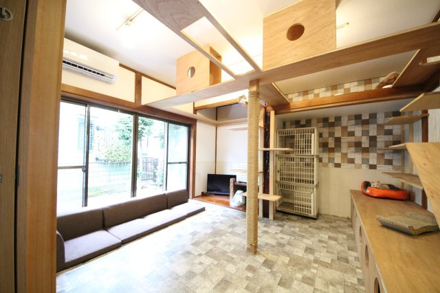 ぬこハウス相模原のその他共用部分|贅沢な設備満載の猫部屋では猫ちゃんが自由に活動しています。
