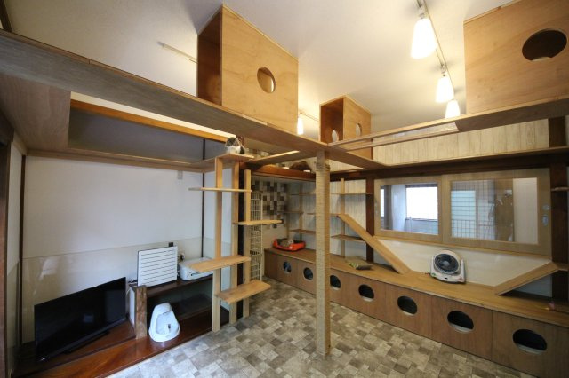 ぬこハウス相模原のその他共用部分|猫部屋にはテレビを設置。
