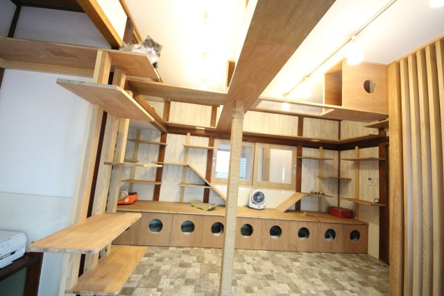 ぬこハウス相模原のその他共用部分|贅沢な設備満載の猫部屋では猫ちゃんが自由に活動しています。
