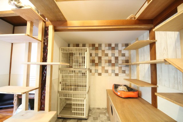 ぬこハウス相模原のその他共用部分|贅沢な設備満載の猫部屋では猫ちゃんが自由に活動しています。
