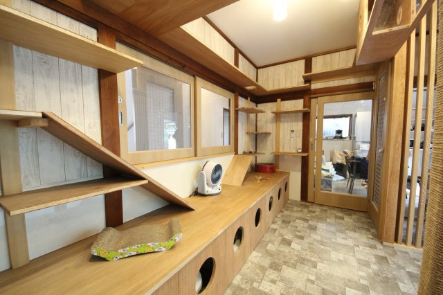 ぬこハウス相模原のその他共用部分|贅沢な設備満載の猫部屋では猫ちゃんが自由に活動しています。
