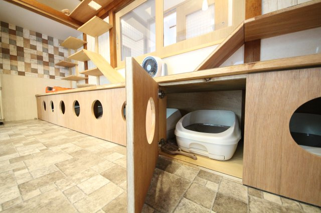 ぬこハウス相模原のその他共用部分|贅沢な設備満載の猫部屋では猫ちゃんが自由に活動しています。
