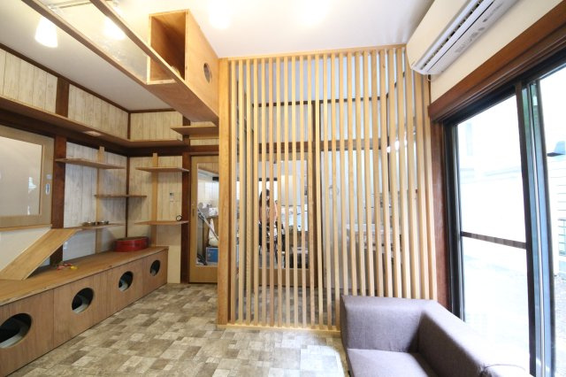 ぬこハウス相模原のその他共用部分|贅沢な設備満載の猫部屋では猫ちゃんが自由に活動しています。
