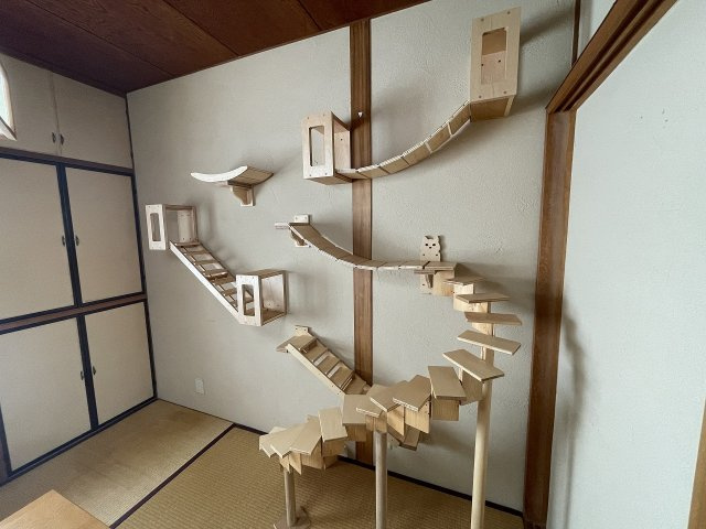 わんにゃんハウス祖師谷の設備|贅沢キャットウォークは猫ちゃんも大喜びですね。