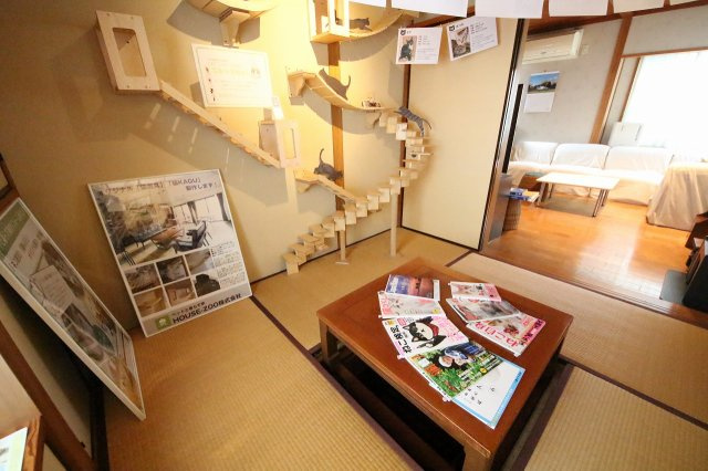 わんにゃんハウス祖師谷の居間・リビング|共有スペースには贅沢キャットウォーク。