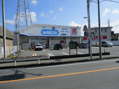 【周辺】 | チェリー ブラッサム