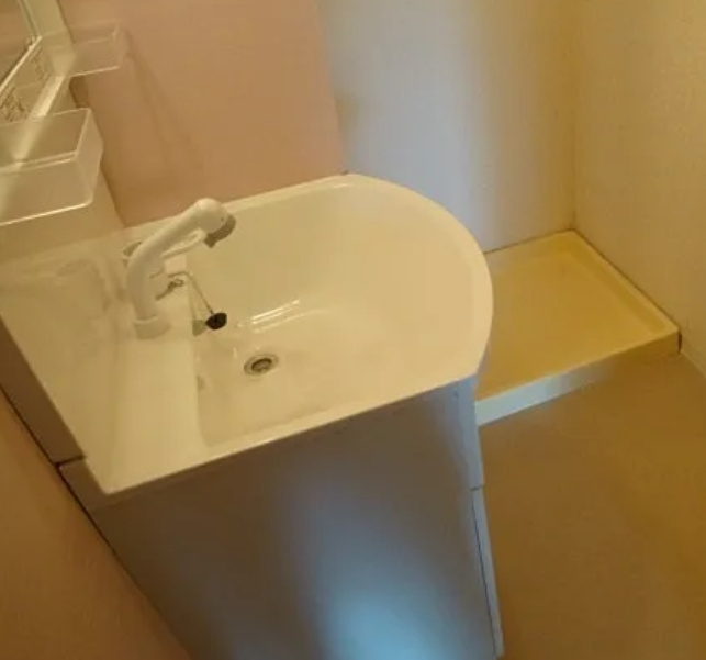 第2パールマンションの洗面所