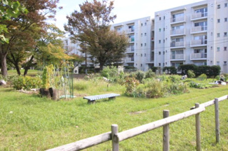 【その他】 | 戸頭第一住宅 | 契約すれば家庭菜園も楽しめます