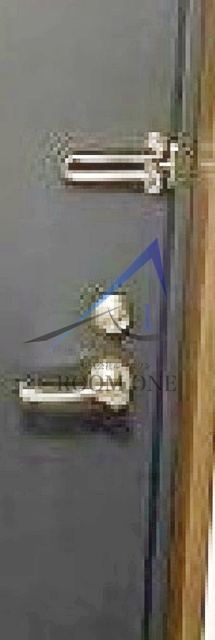 フローラ本駒込のその他