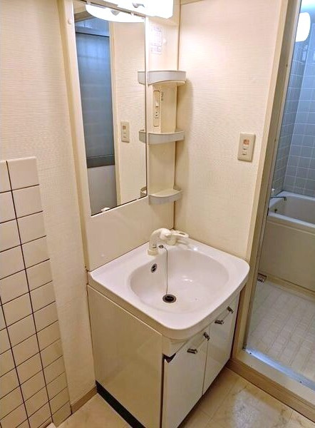 メゾンみやびの洗面所